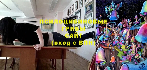 молекула духа Армянск