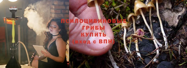 первитин Осташков