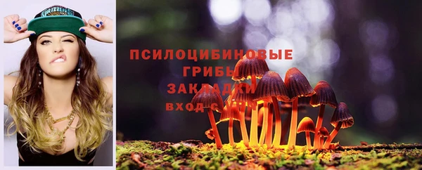скорость Арсеньев