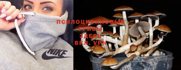 молекула духа Балахна