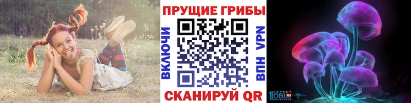 Галлюциногенные грибы Magic Shrooms  мега ССЫЛКА  мориарти Telegram  где можно купить   Лахденпохья 